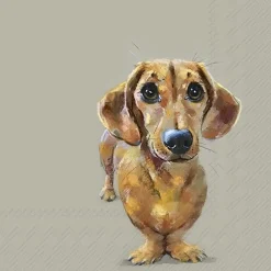 Lunchservet Dog Buddy